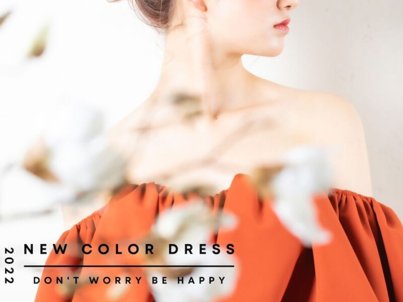 【新作衣装】new color dress
